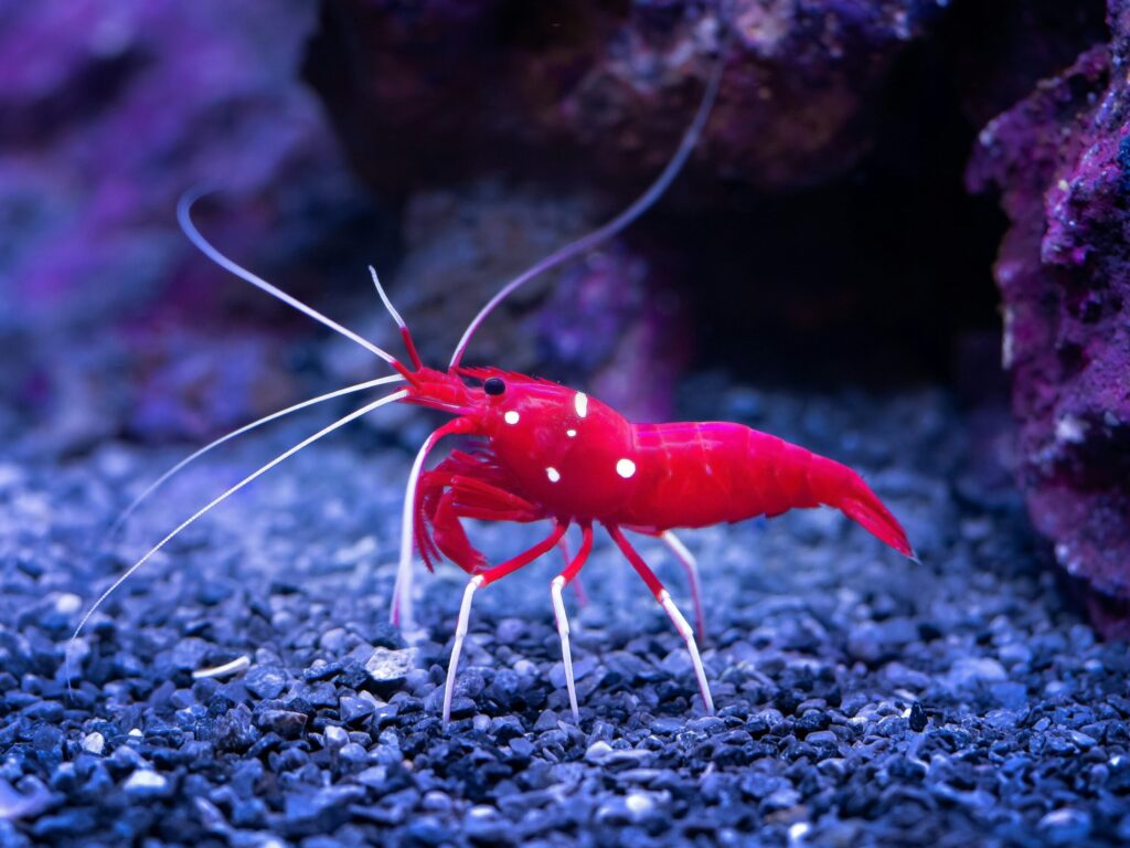 Hello World Featured Image